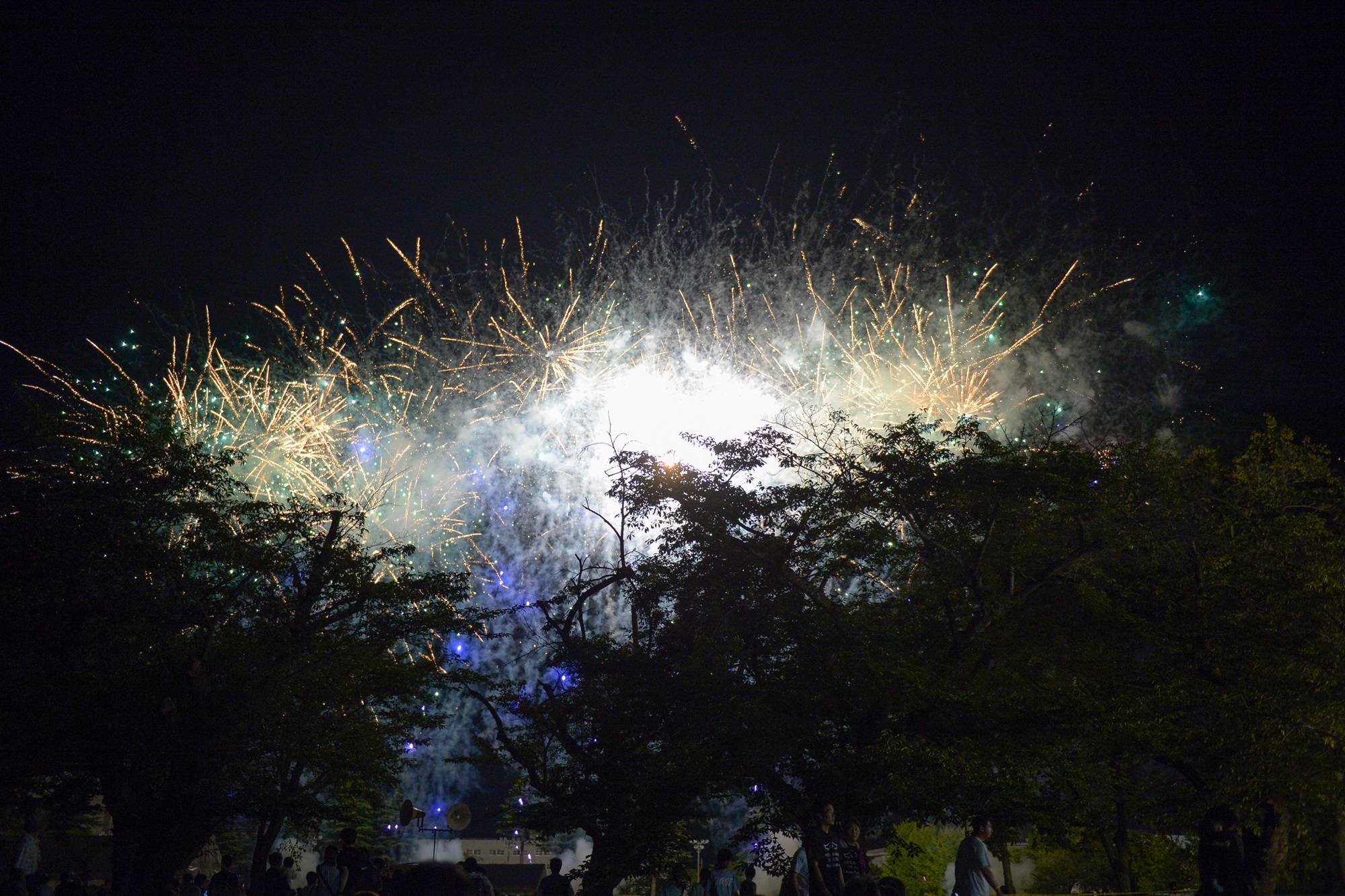 花火大会 第30回ひたちなか祭り 花火大会